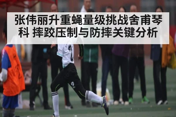 张伟丽升重蝇量级挑战舍甫琴科 摔跤压制与防摔关键分析 | kaiyun